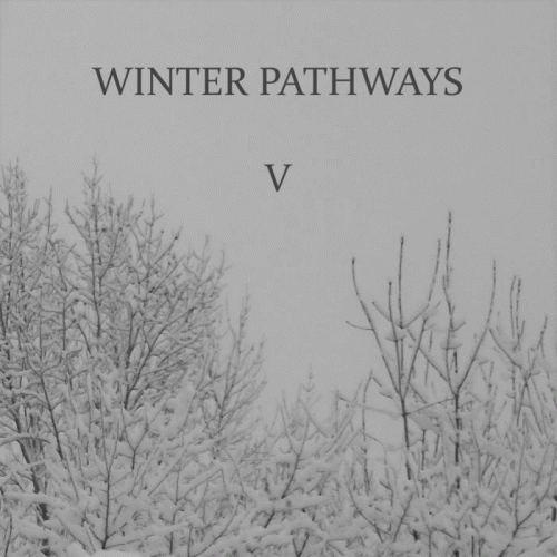 Winter Pathways : V